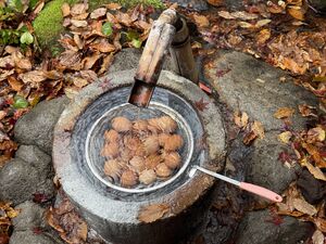 Onsen tamago cooking.jpg